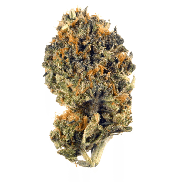 Purple Z THC: 17%-23%