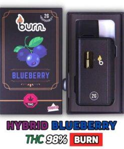 Burn Disposable – 2G Vapes - Blueberry - Hybrid