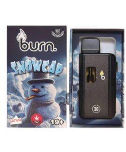 Burn 3G Disposable Pen - Snowcap (SATIVA)