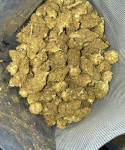 Purple Space Bubba THC: 14%~16%