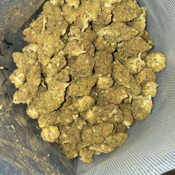 Purple Space Bubba THC: 14%~16%