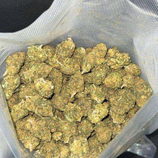 Comatose THC: 14%-16%