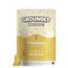 Grounded High Dose! Pineapple – 5 x 200mg THC Gummies (1000mg Total)