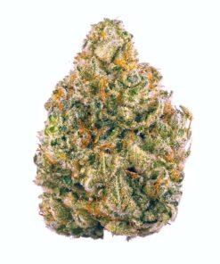 Dominator THC: 26%-33%