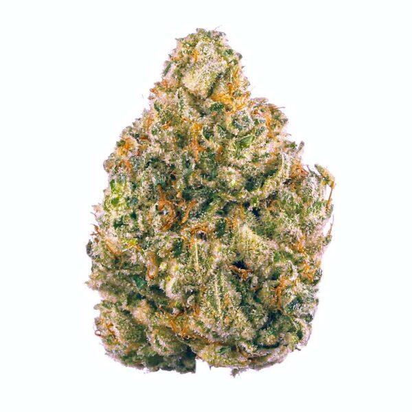Dominator THC: 26%-33%