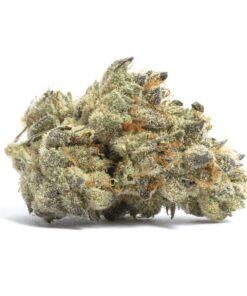 Ghost Ship THC: 17%-23%
