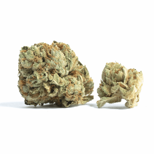 Dank Schrader THC: 23%-30%