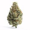 Silverback Gorilla THC: 23%-30%