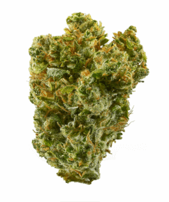 Super Silver Haze THC: 23%-30%