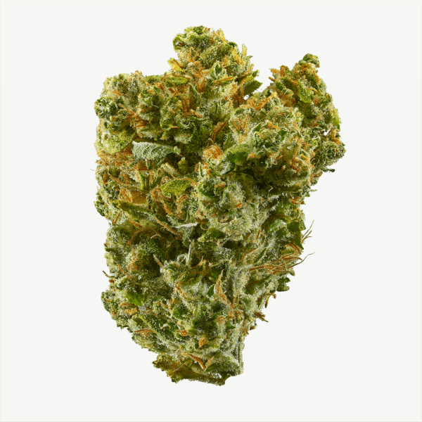 Super Silver Haze THC: 23%-30%