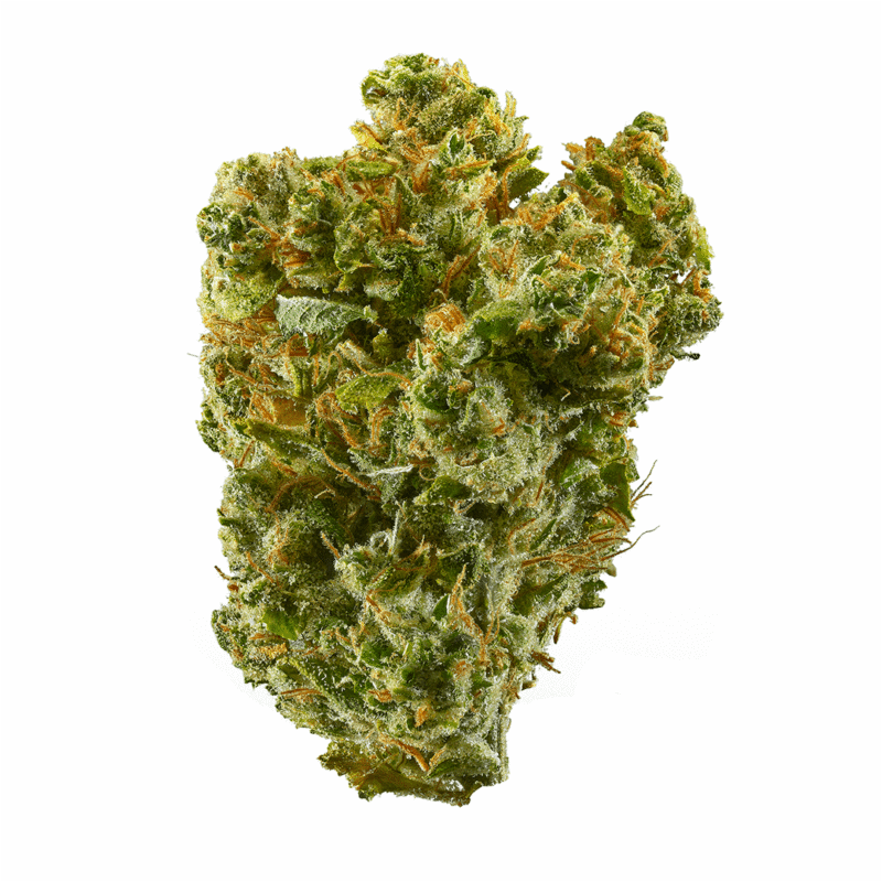 Super Silver Haze THC: 23%-30%