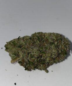 🔥Cincopax Chemo AAAA+