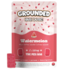 Grounded 500mg THC Brick - Watermelon