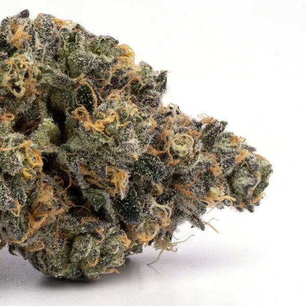 Purple Kush indica flower buds with purple hues, 16-19% THC