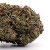 Smalls THC: 16%-19%