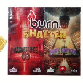 Burn Shatter 2G - Comatose OG (I) x Gary Payton (H)