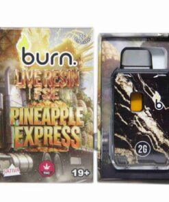 Burn 2G Live Resin FSE Disposable Vape - Pineapple Express (S)