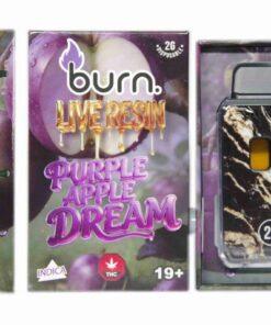 Burn 2G Terp'd Live Resin FSE Disposable Vape - Purple Apple Dream (I)