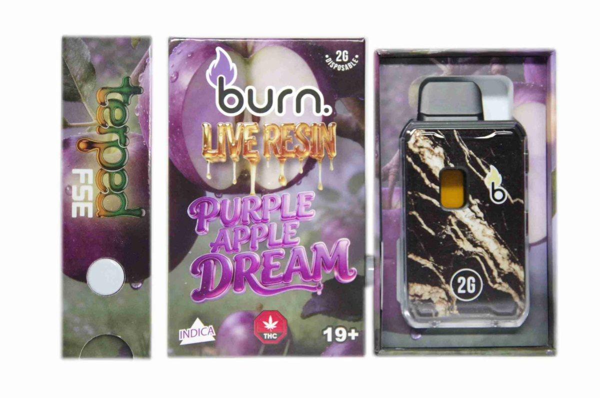 Burn 2G Terp'd Live Resin FSE Disposable Vape - Purple Apple Dream (I)