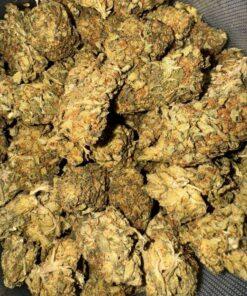 Close-up image of Grape Ape cannabis flower, a AA indica with purple-tinged buds and a THC range of 16%-19%.