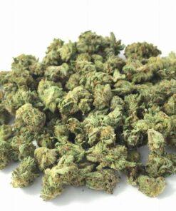 Close-up image of Green Crack Smalls popcorn buds, a AAA sativa cannabis flower with a THC range of 18%-23%.
