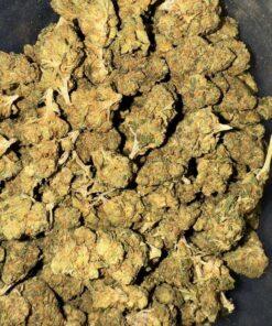 Close-up image of White Widow cannabis flower, a AA hybrid with frosty resin-coated buds and a THC range of 16%-19%.