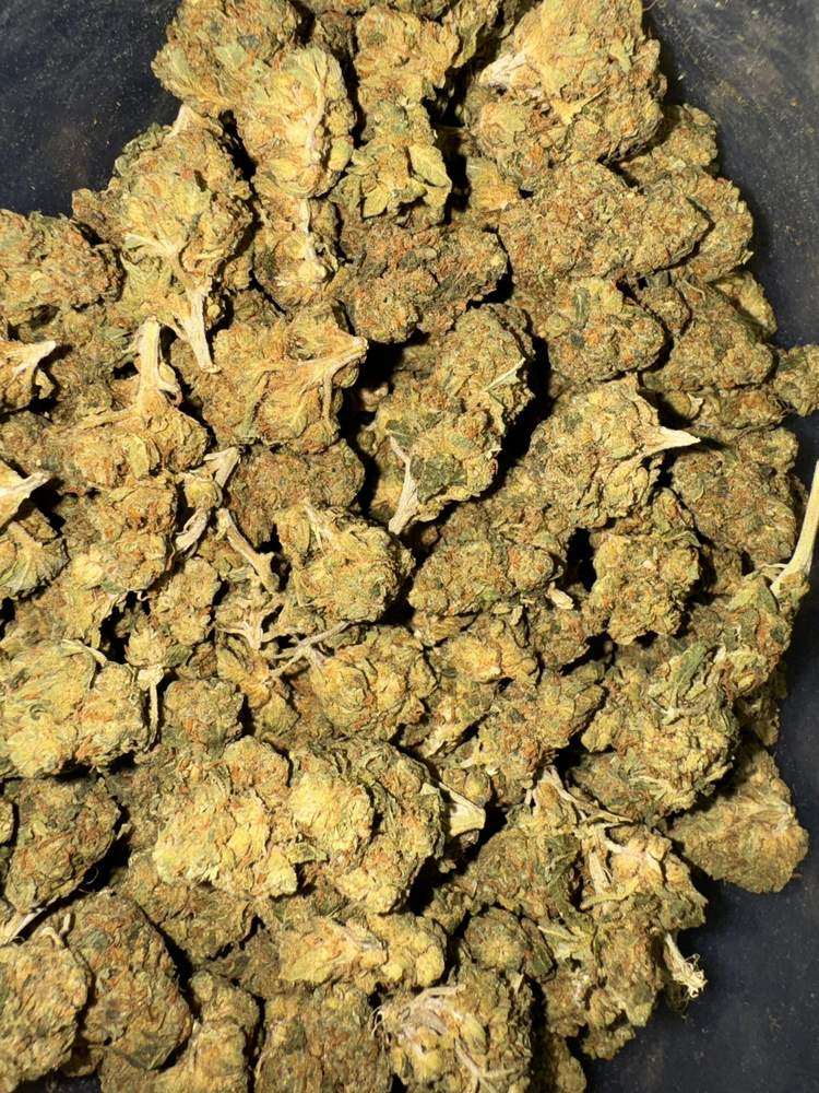 Close-up image of White Widow cannabis flower, a AA hybrid with frosty resin-coated buds and a THC range of 16%-19%.