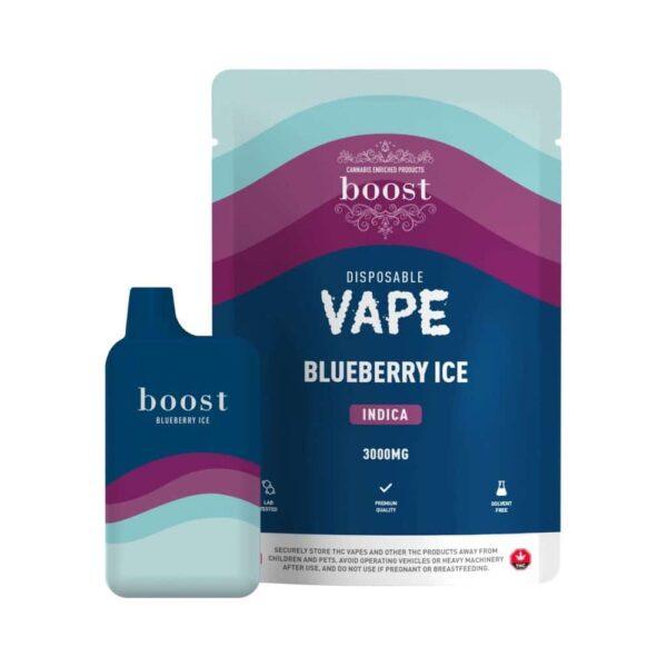 Boost 3G Disposable Vape - Blueberry Ice (I)
